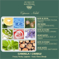 Preview: Acqua di Bolgheri – Cipresso Nobile Scented Candle 200 g