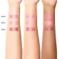 Preview: Chogan Moni Amori  Blush & Kiss Multi-Use Stick Berry