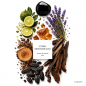 Preview: Fumo Mediterraneo Extrait de Parfum Unisex - 50 ml