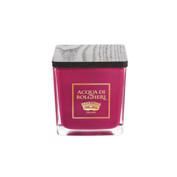 Acqua di Bolgheri – Bacche di Vinum Scented Candle 200 g