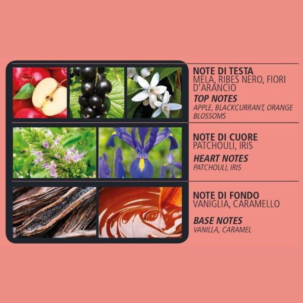 Acqua di Bolgheri – Elisir di Dolce Vita Scented Candle 200 g